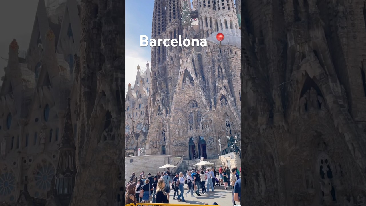 Barcelona October #2025 #sunshine - child free city break. 🍺 🔥 #trending #barcelona #shorts #sun