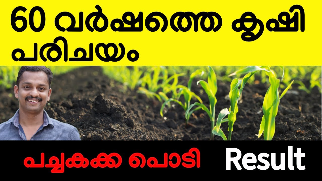 പാചകക്ക പൊടി #how to maintain ph in soil  #clam shell  # kakka podi #ph maintainer #ph controller