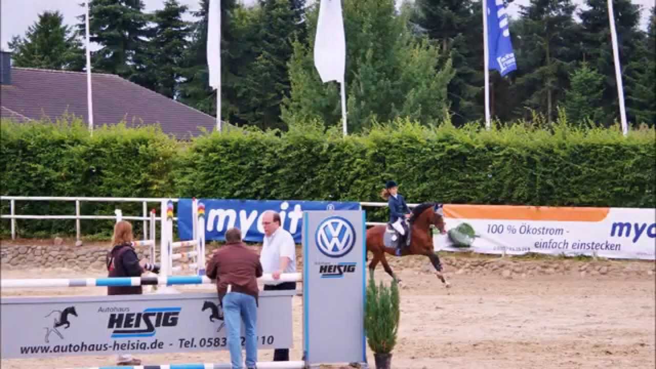 Ade du schöne Ponyzeit