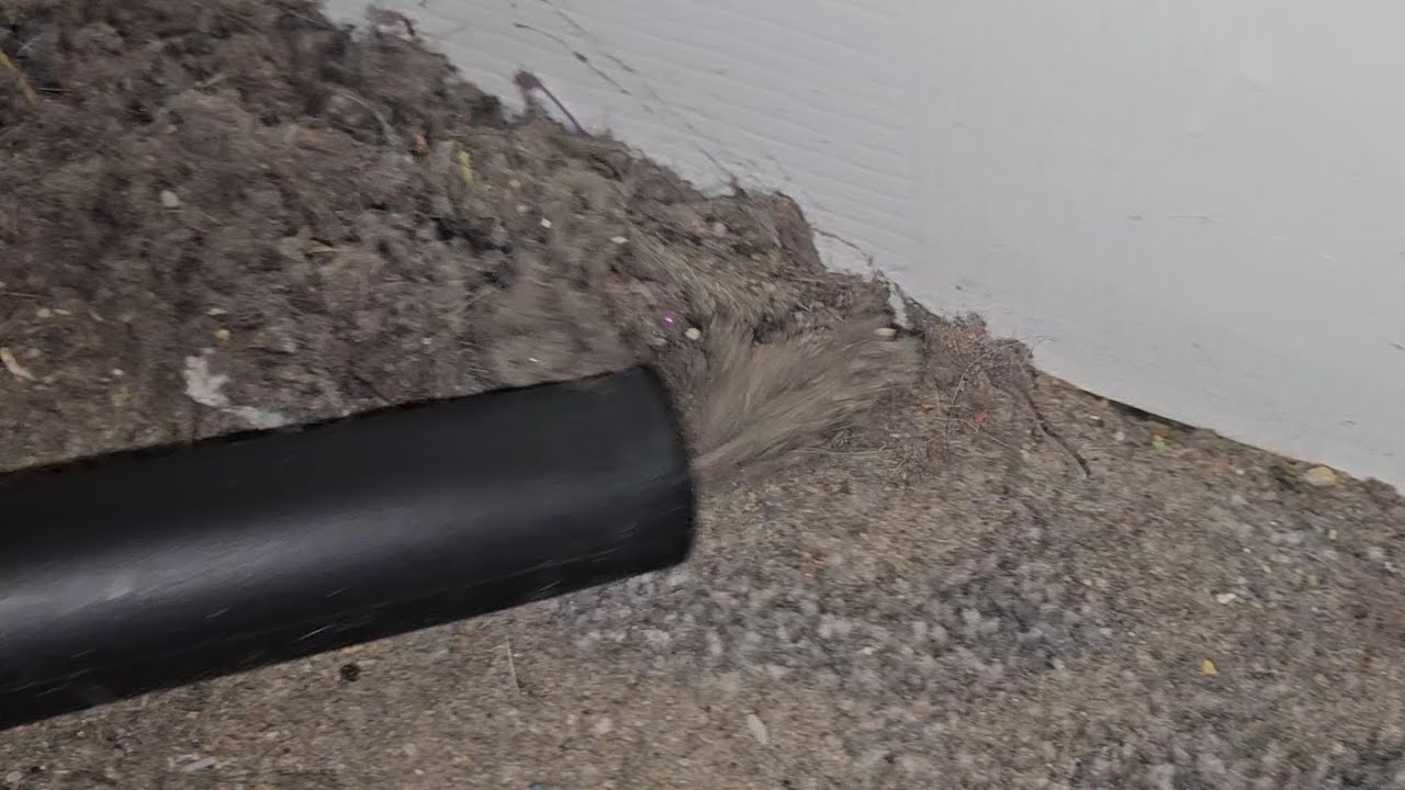 ASDA's £25 Goblin Essentials Cylinder Bagless Vacuum Cleaner MINI Mess test/demo