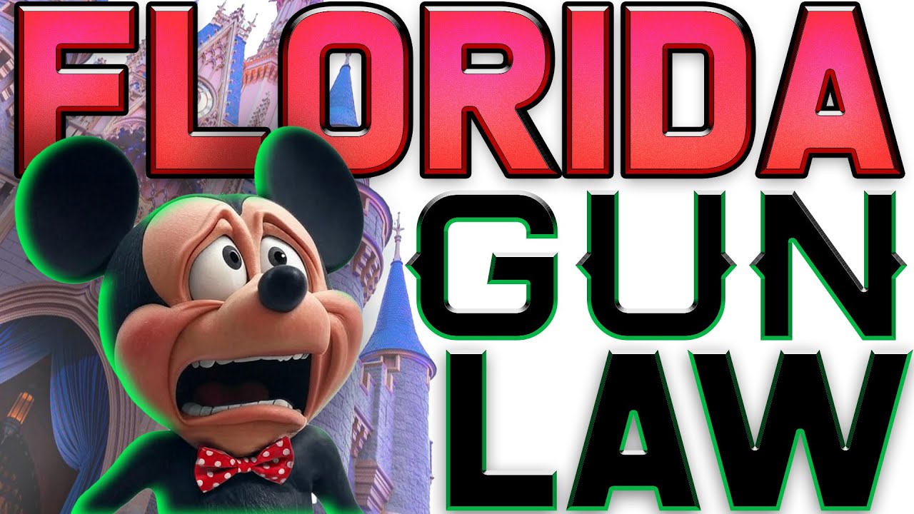 Florida Gun Law 2025, NEED TO KNOW YOUR RIGHTS!