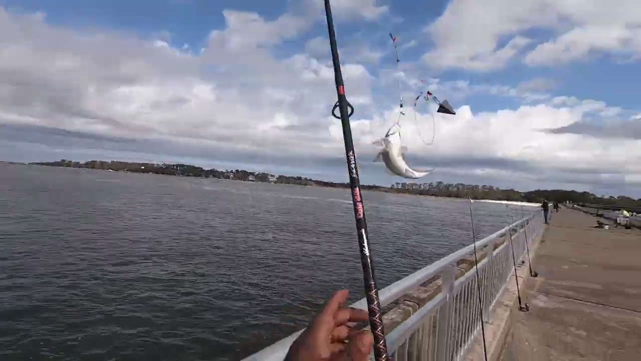 Fishing Nassau sound / George Crady bridge -Whitting Time!!