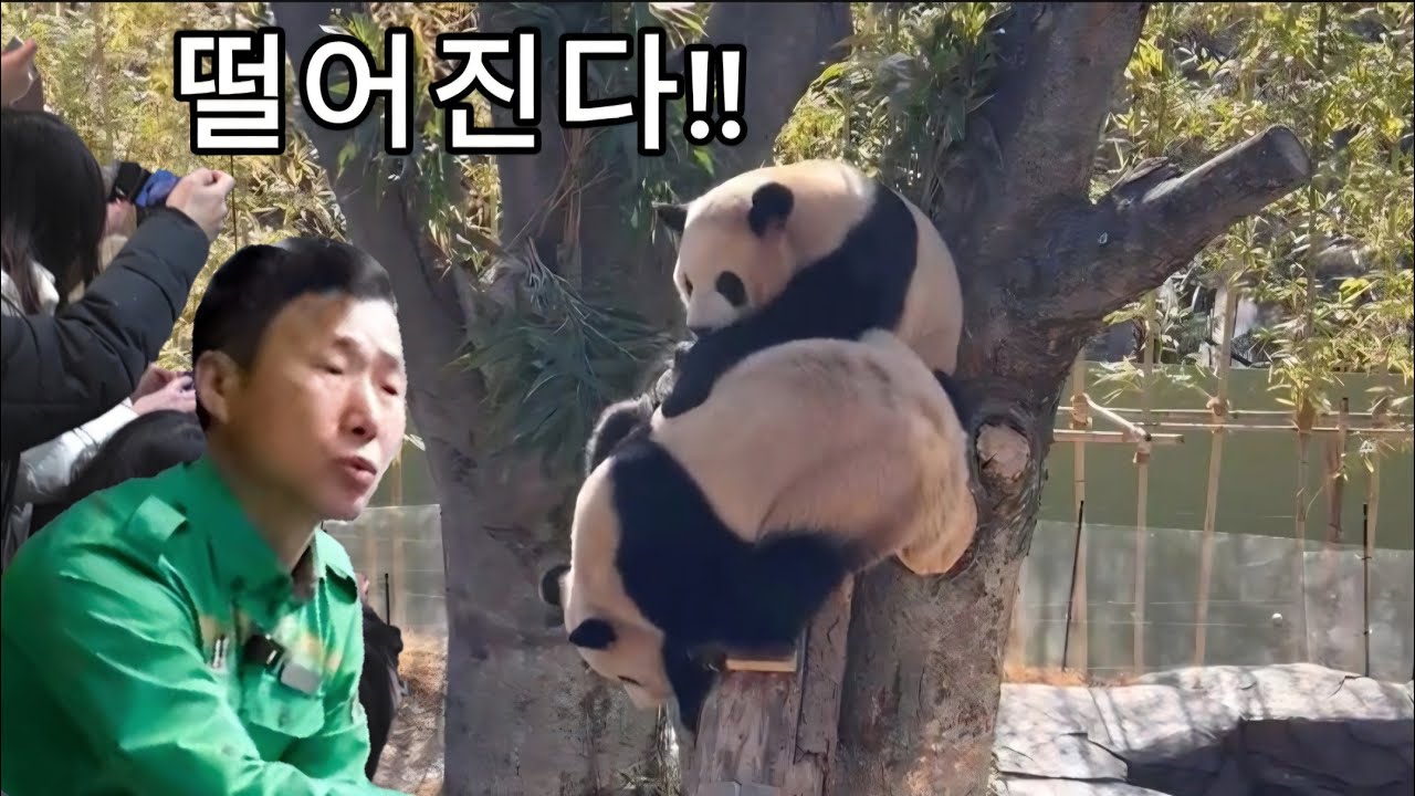 세컨하우스 3월4일 루이 언니가 거칠게 훈육 을 하네요 