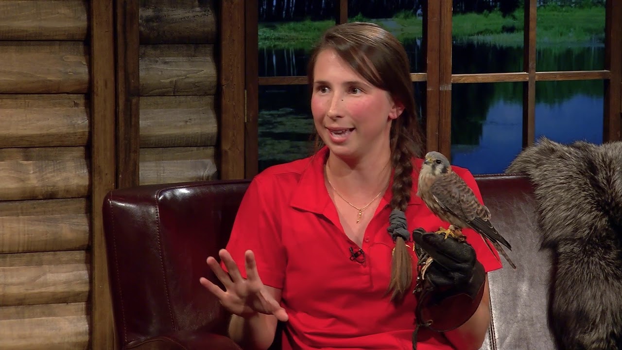 Union québécoise de réhabilitation des oiseaux de proie