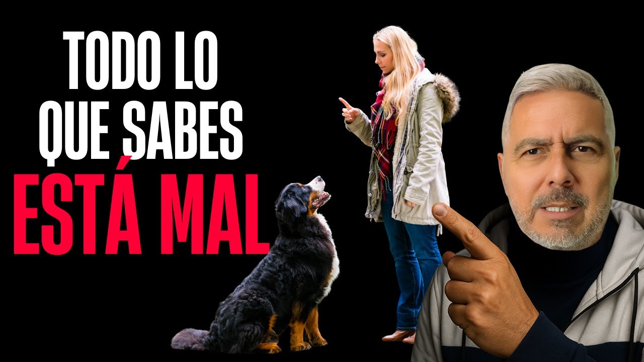 La Gran Mentira del Adiestramiento Canino (y lo que nadie te dice) 🤐
