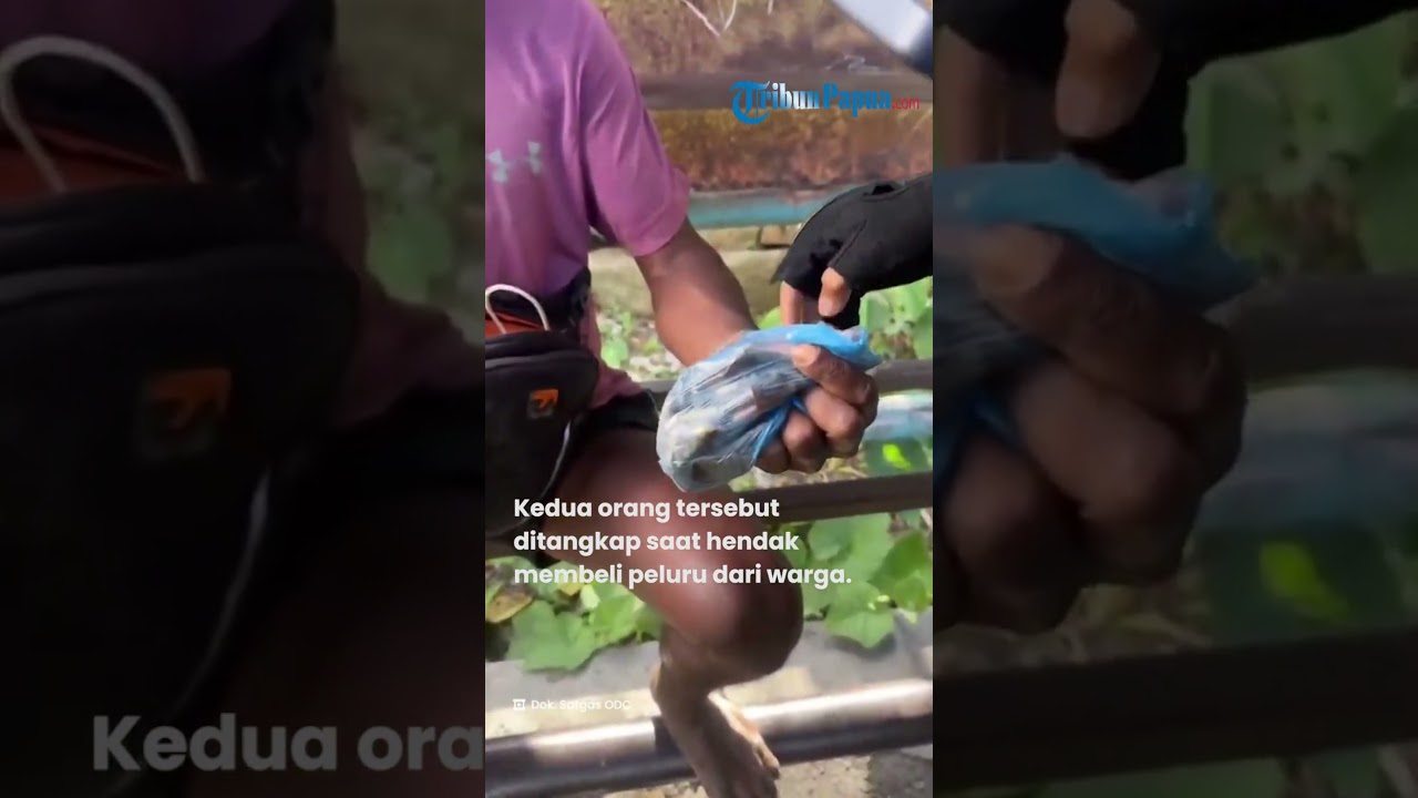 Detik-Detik Aparat Tangkap Tangan 2 Jaringan KKB Saat COD Peluru di Puncak Jaya