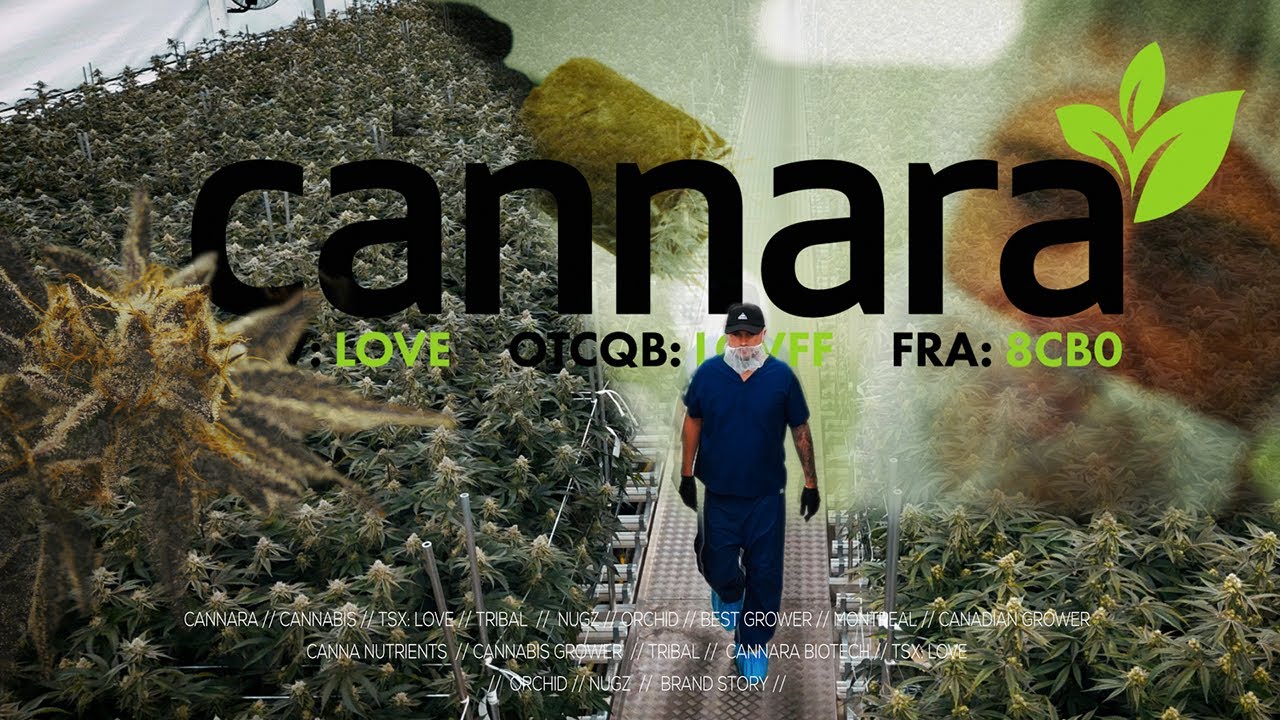 From Seed to Sale: How Cannara&nbsp;is Shaping the Future of Canadian Cannabis