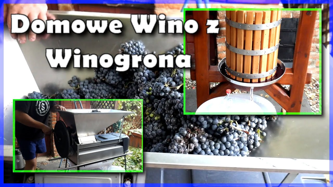Jak zrobić Wino z Winogron  🍇 👉 🍷
