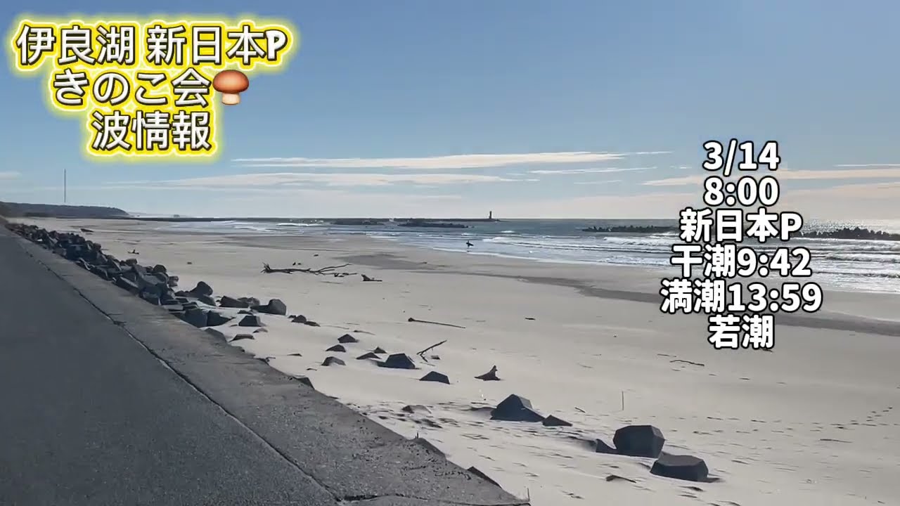 3/14 8:00新日本P【伊良湖波情報】2026年