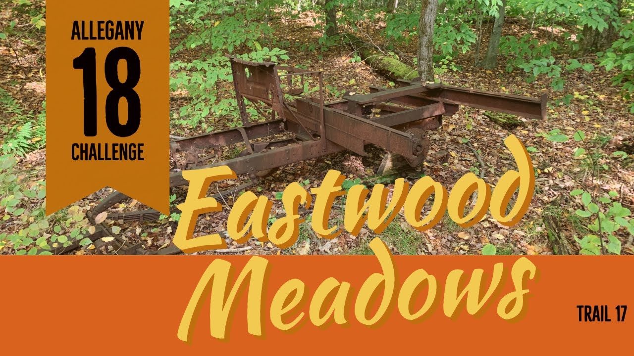 Allegany 18 Challenge -  Eastwood Meadows (Trail 17)