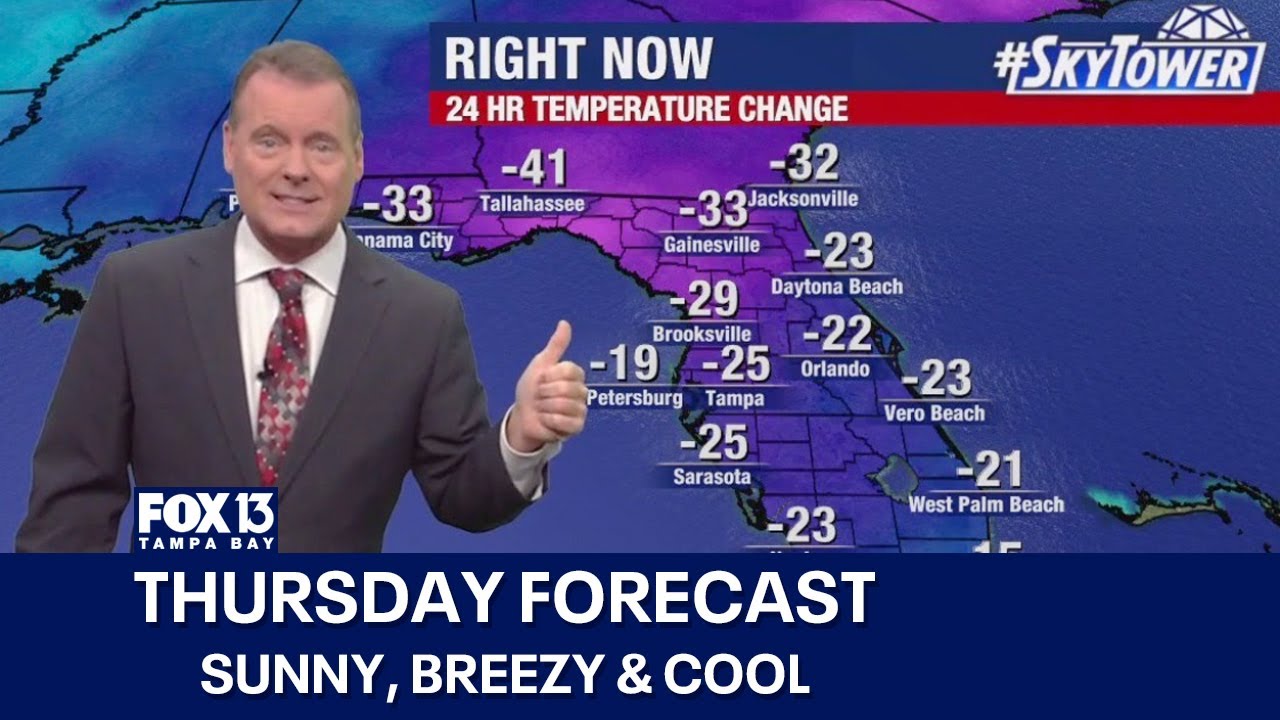 Tampa weather | Sunny, breezy & cool
