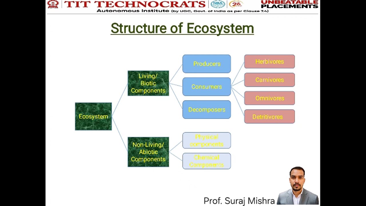 MODULE 2_ECOSYSTEMS