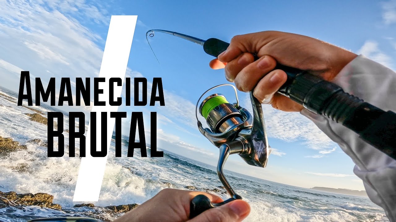 PESCA de LUBINAS al AMANECER en SUPERFICIE y con VINILO|| ACTIVIDAD BESTIAL