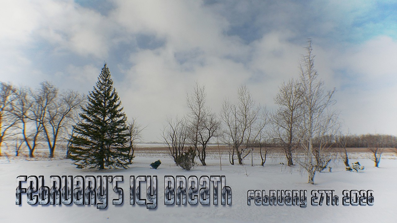 February's Icy Breath    February 27 2026