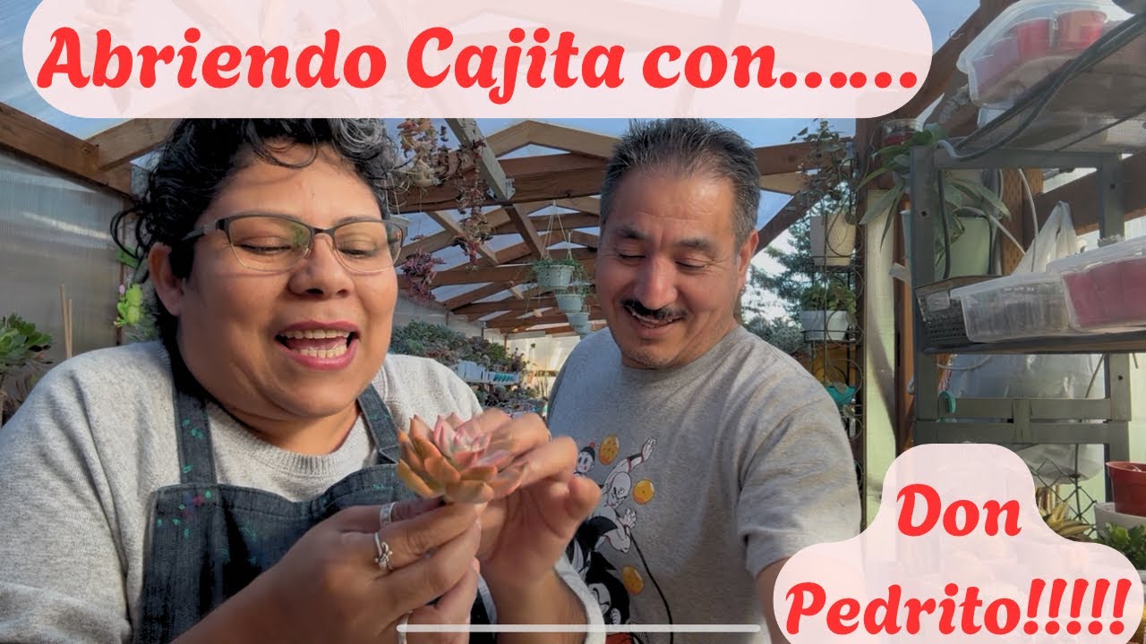 Cajita recién llegada de Korea !!!
