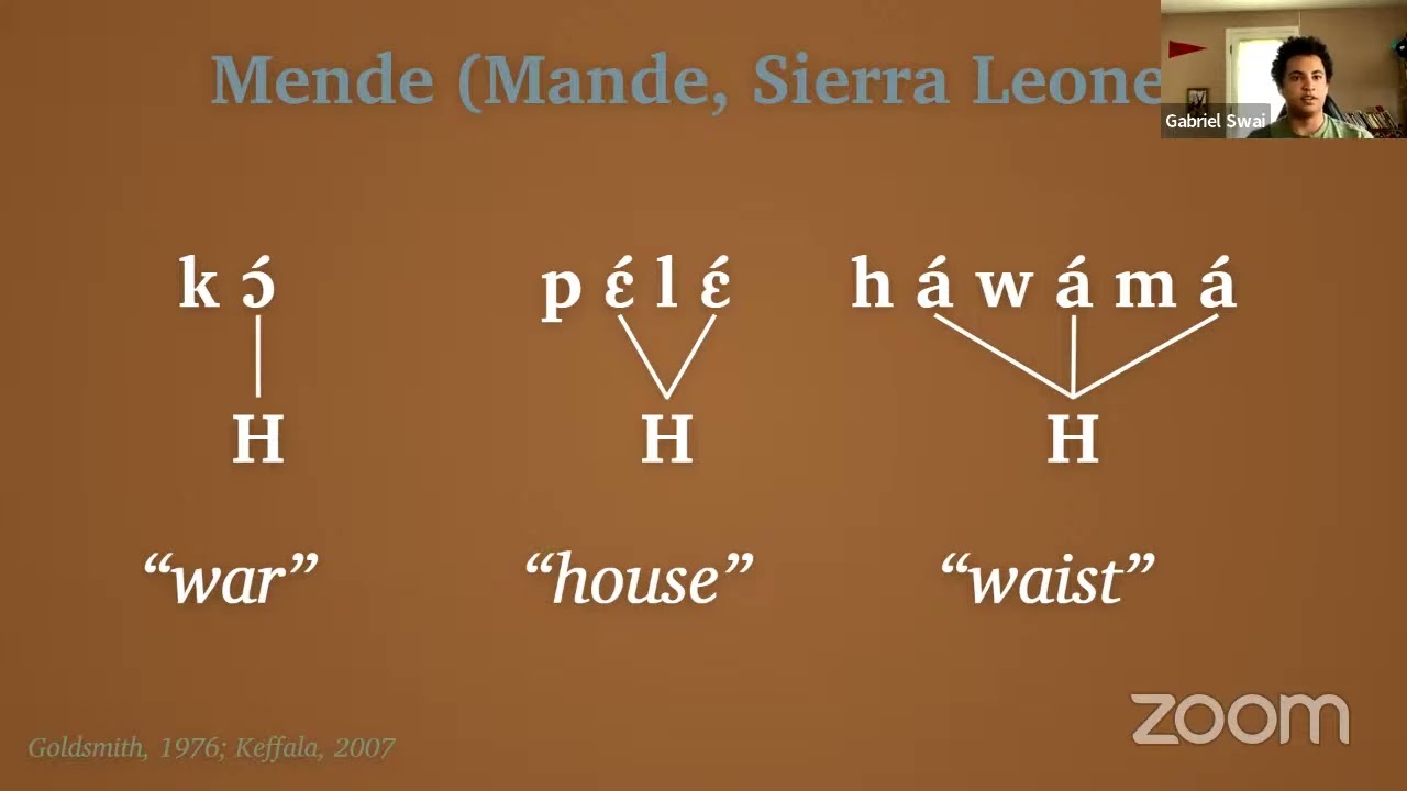 #lcc10  Gabriel Swai - Grammatical Tonology for Conlangers: Tonogenesis, Tone Rules, and More