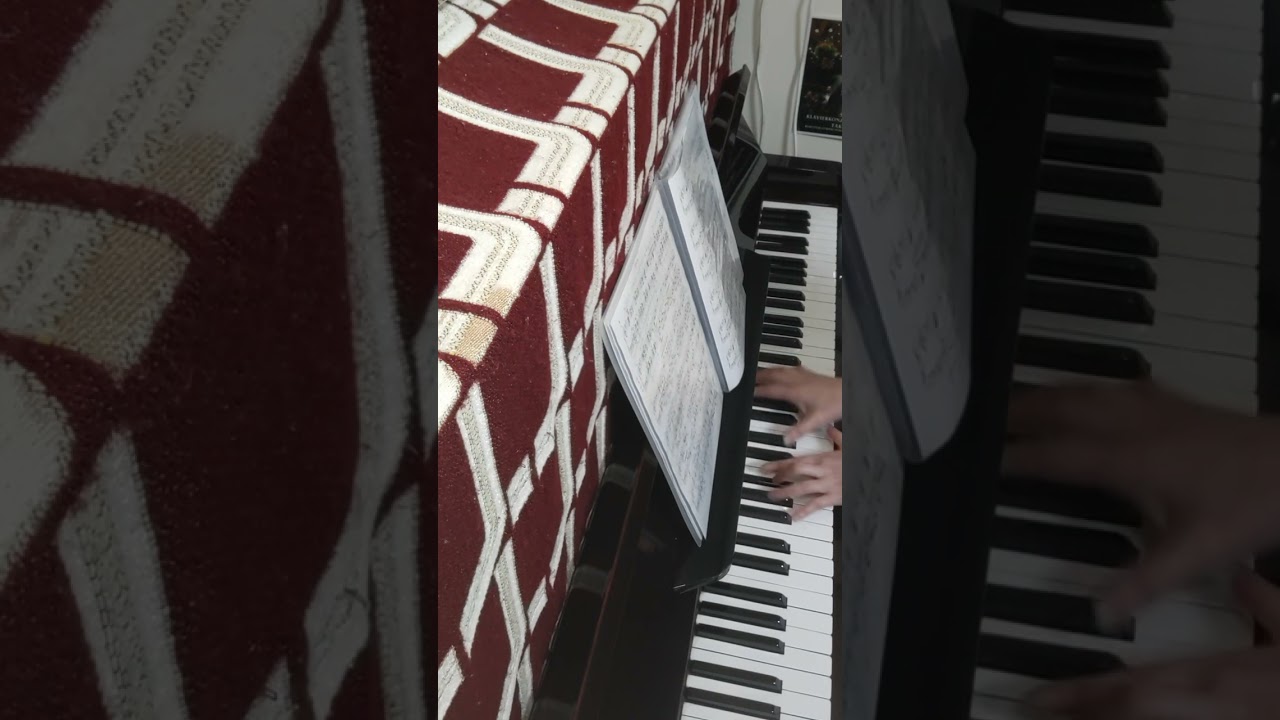 6つの小品 間奏曲 118-2 2026 02 04 朝