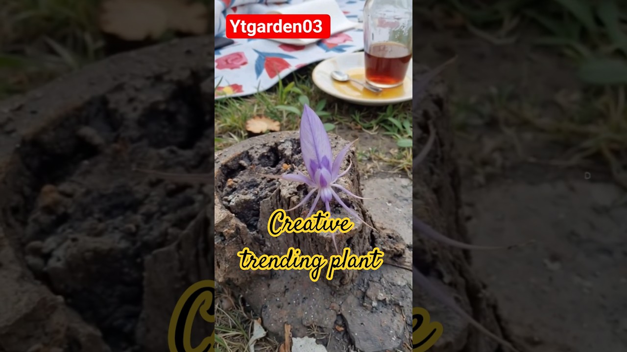 🌿  Aise Plant Dekhe Hain Kabhi?! 😱 | #ViralShorts #PlantMagic #TrendingNow #shorts