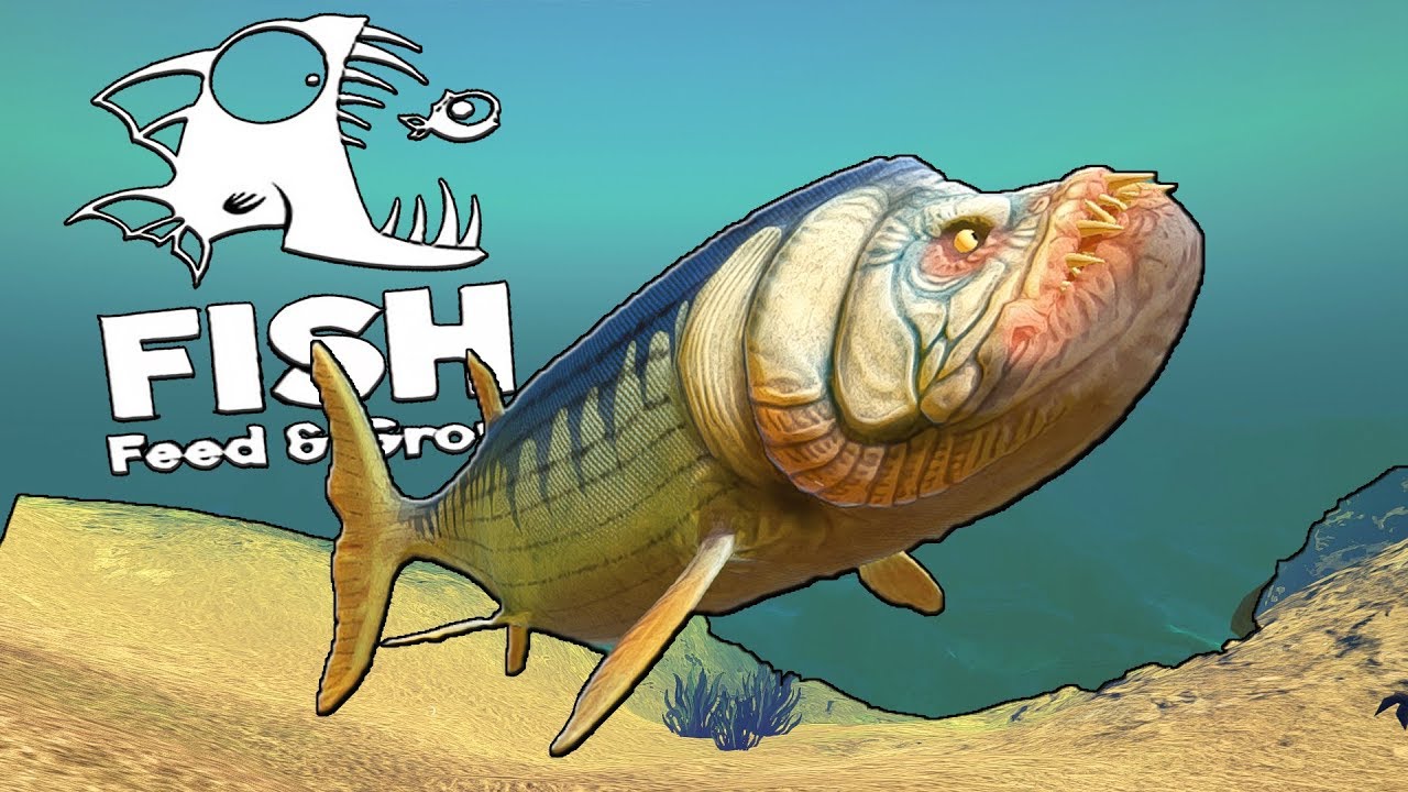 ДОБАВИЛИ РЫБУ МОНСТРА, ОБНОВЛЕНИЕ | Feed and Grow Fish