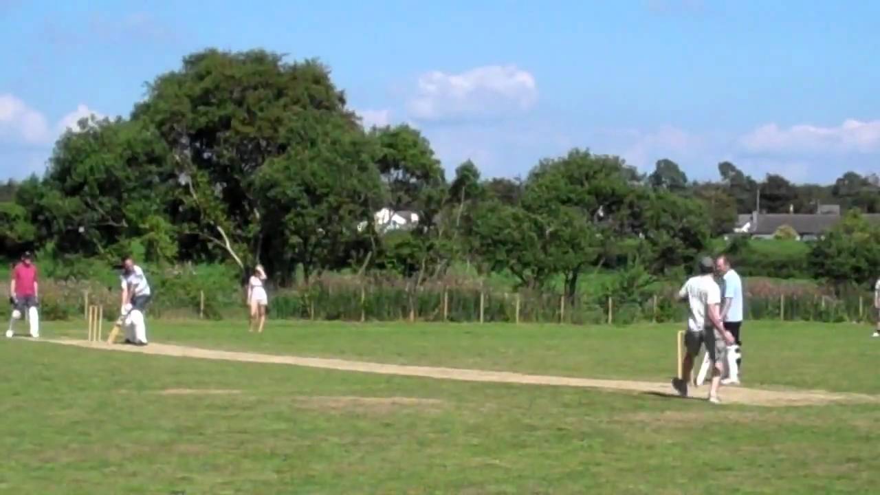 Cricket 2010 HD