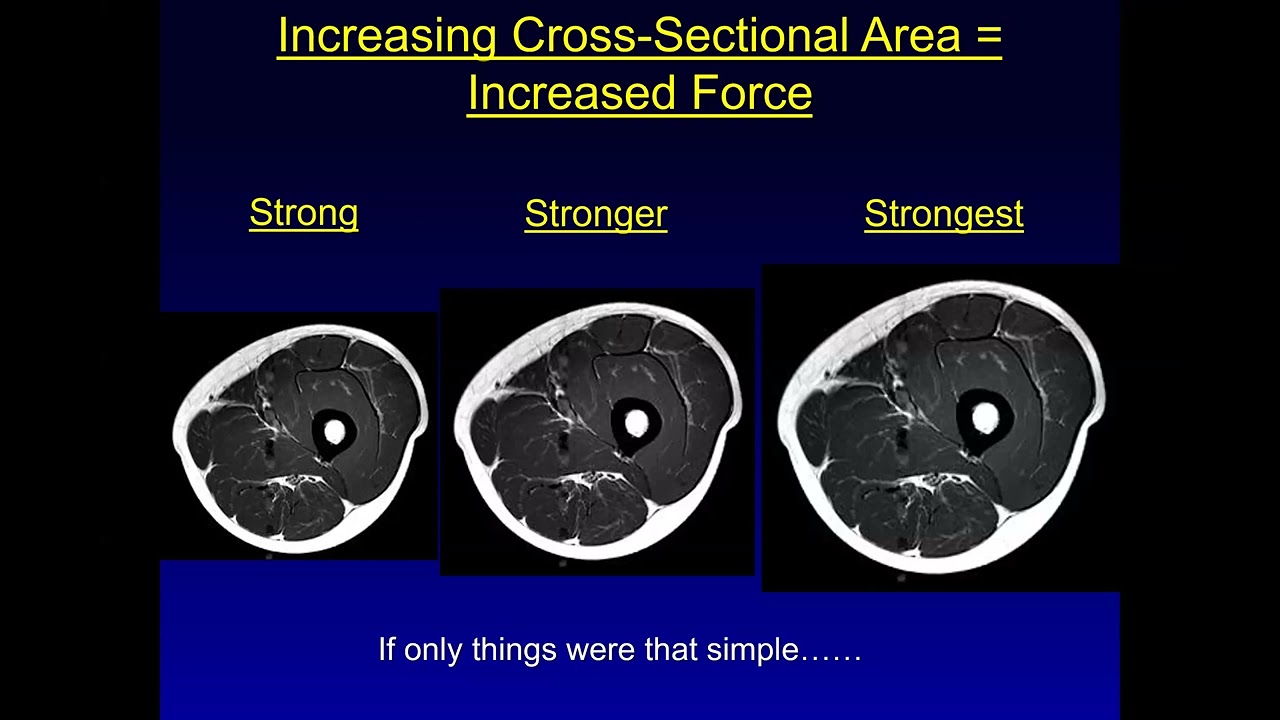 L5   Control of Force Part I