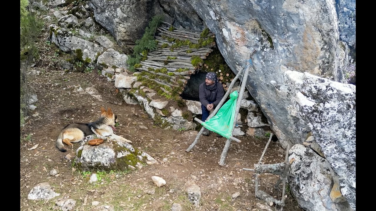 Having fun under the rock with my dog.Survival & Bushcraft & DIY & ASMR video