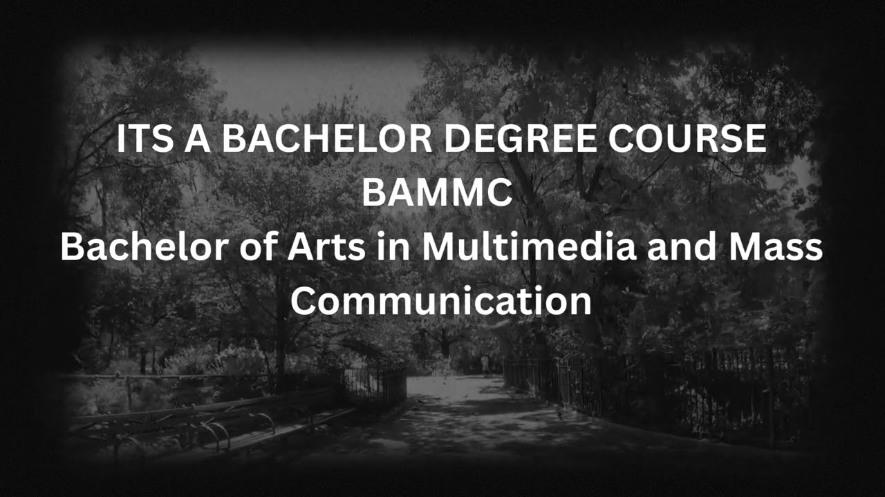 Lights. Camera. Impact with BAMMC Course