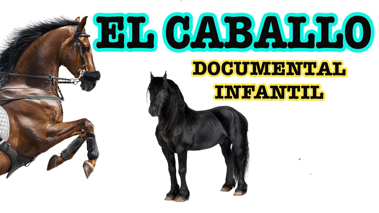 EL CABALLO 🐎| Documentales para ni&ntilde;os sobre animales | Los animales de granja