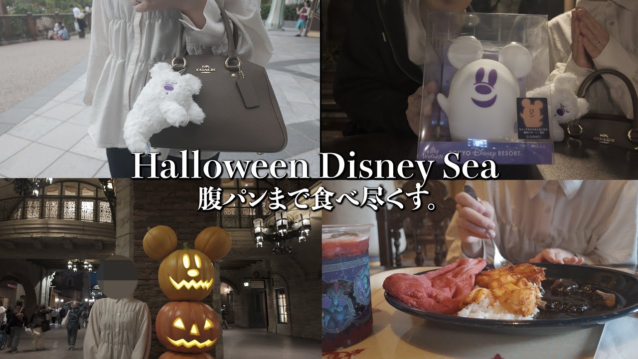 disney vlog | ハロウィンのディズニシーを徹底的に満喫しようとしたら、思いの外過酷だった