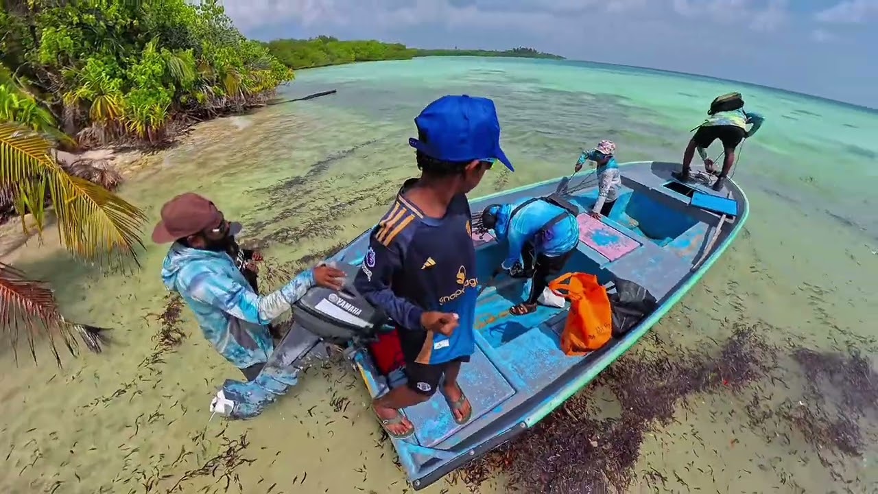 Island Mode: Activated 🎣