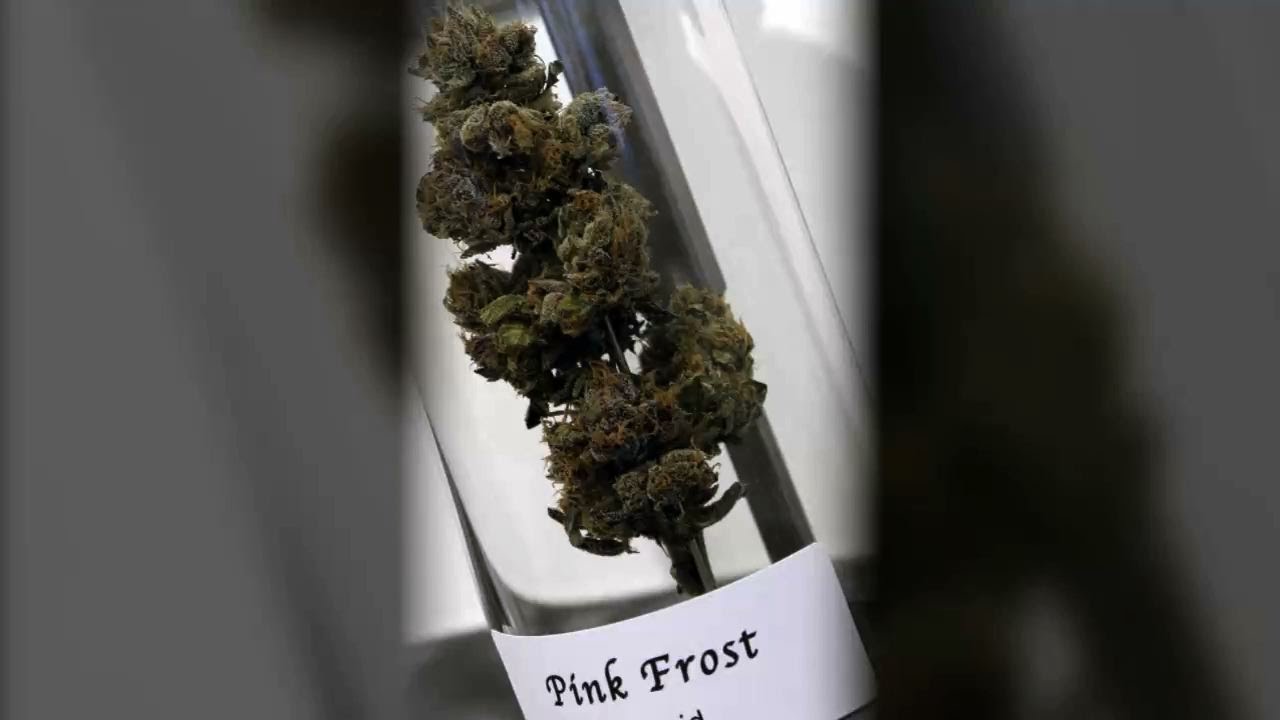 Oregon lawmakers pass bill to protect marijuana consumers