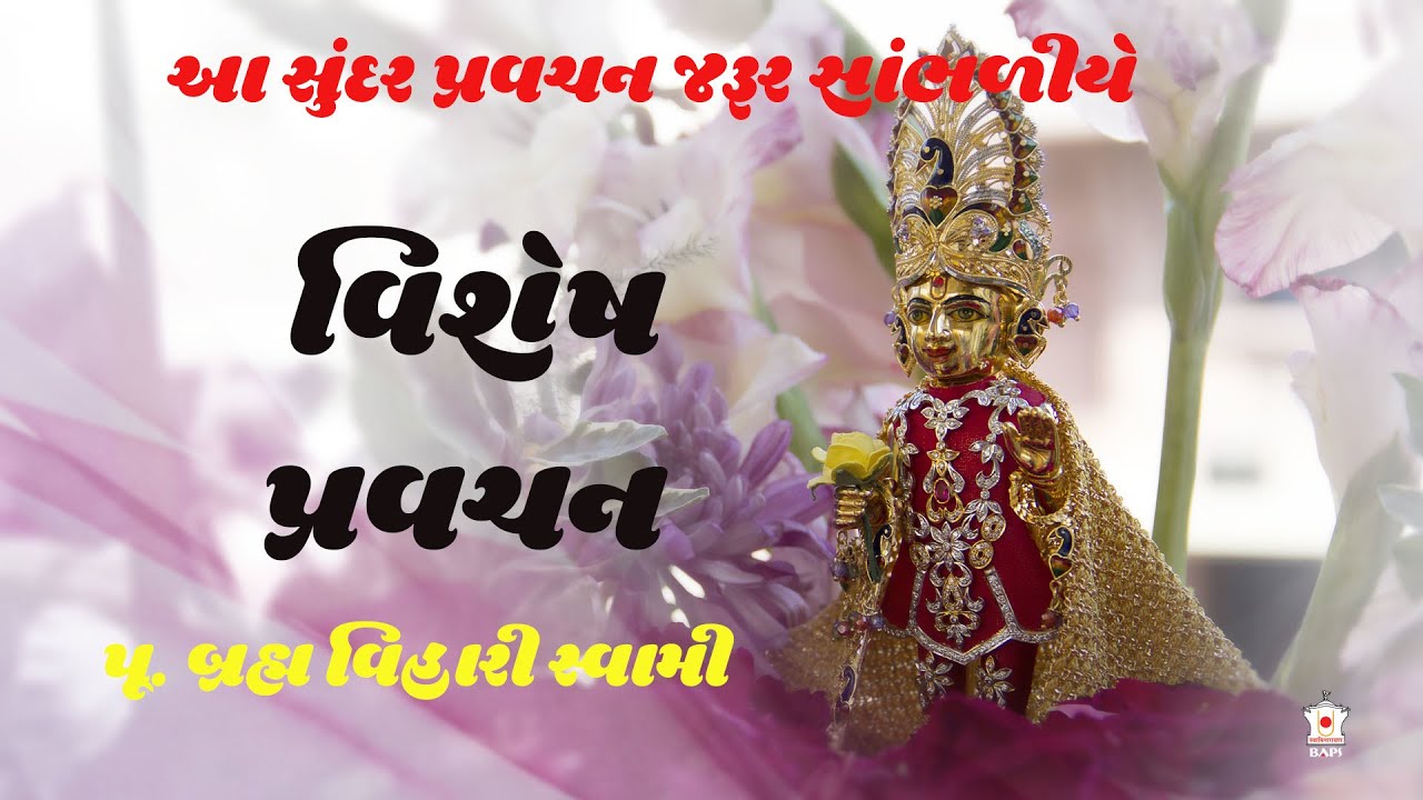પૂ. બ્રહ્મ વિહારી સ્વામી | P Brahmvihari Swami | Baps Katha,Baps Pravachan,Swaminarayan Pravachan