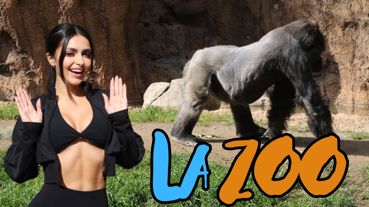Exploring LA Zoo 🐾 Aussie Style!
