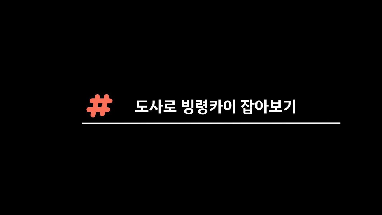미르의전설2 - 도사로 빙령카이 잡아보기