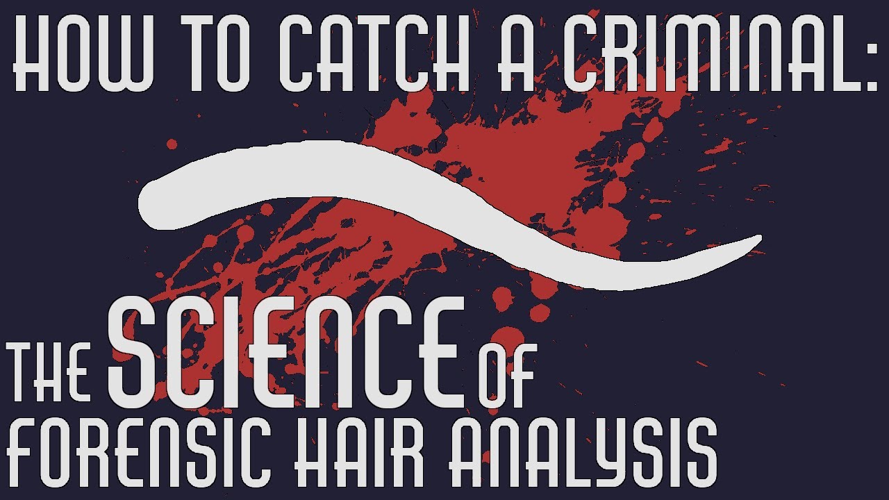 How to Catch a Criminal: The Science of Forensic Hair Analysis