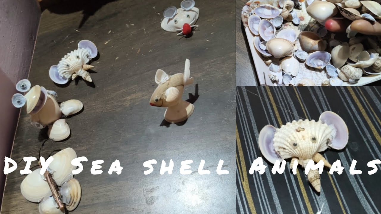 Animals from seashells/decoratives from seashells
