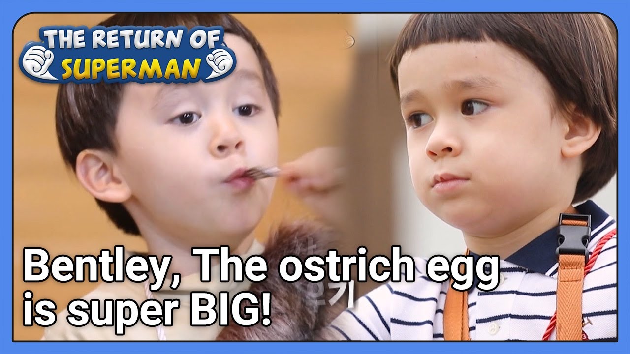 Bentley, The ostrich egg is super BIG! (The Return of Superman) | KBS WORLD TV 210613