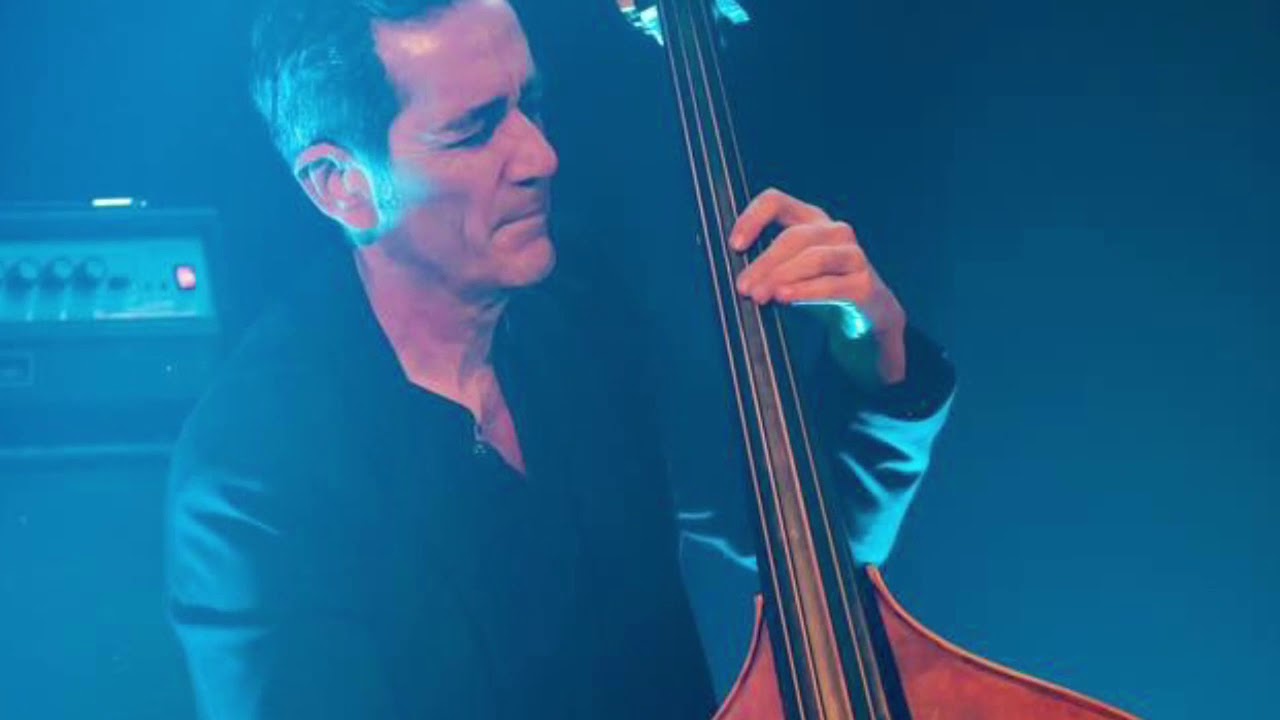 Jean-Marie Carniel Trio The Peacocks  JM Carniel ( b)  Denis césaro (piano) Cédrick Bec (dm) 2017