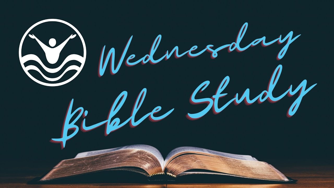 Genesis Study | God Remembers Noah (Genesis Chapter 8)