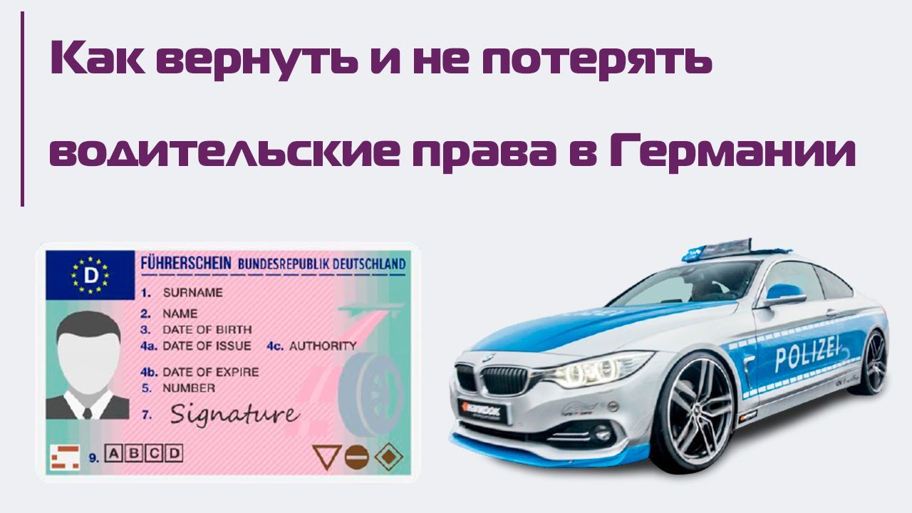 Водительские права в Германии: штрафные баллы, «идиотентест» и советы автомобилистам