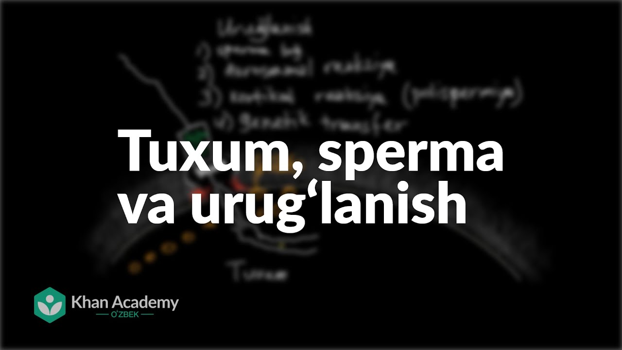 Tuxum, sperma va urug‘lanish | Odam tanasidagi tizimlar | Yuqori sinf biologiyasi
