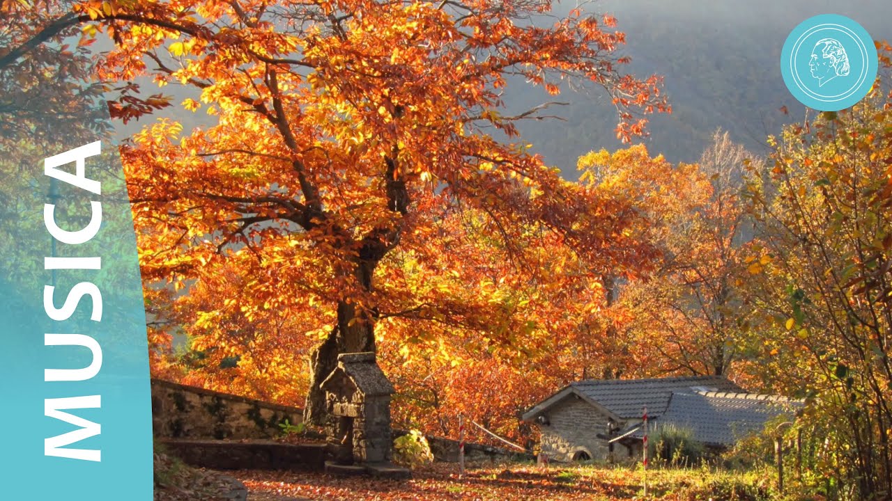 Uomo, guarda la meraviglia della tua anima! - Foto d'autunno e musica degli amici di Bruno Gröning