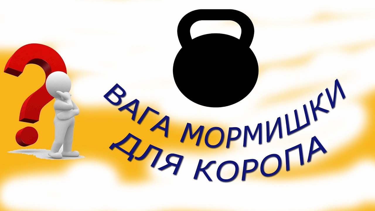 Вага мормишки для коропа