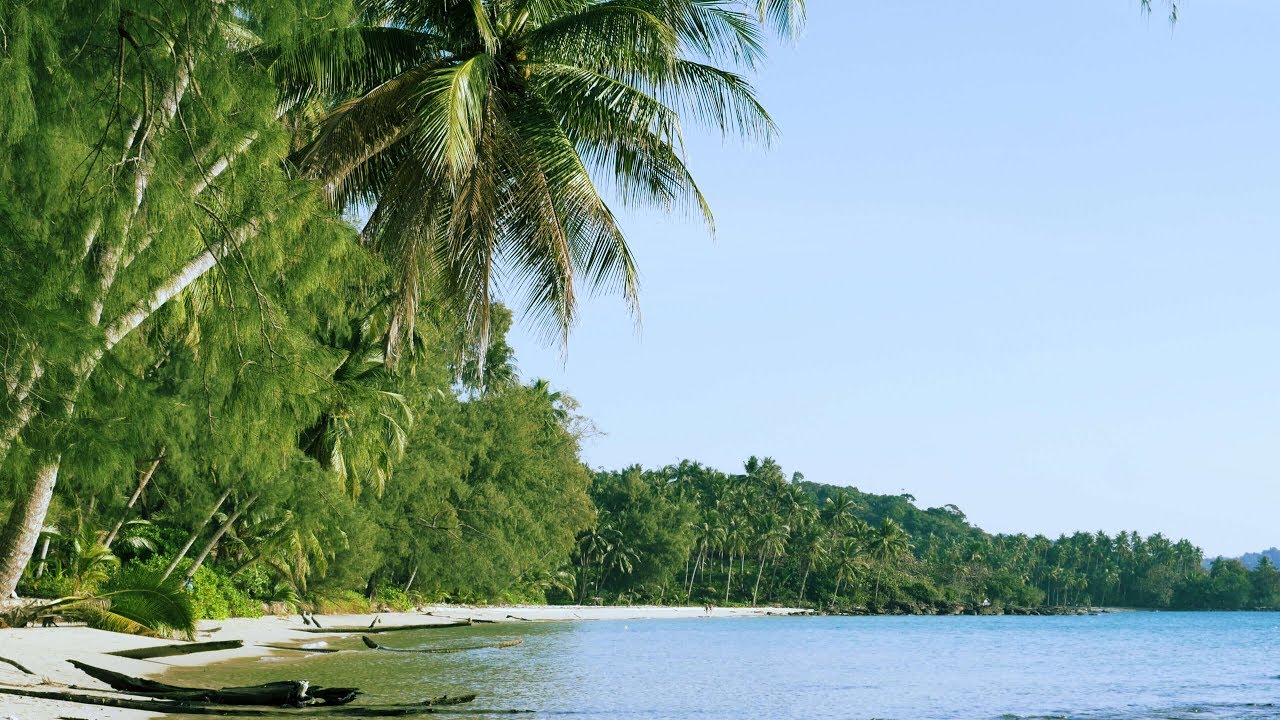4K Paradise Beach Scene on Koh Kood Thailand 🌴🙂🌴