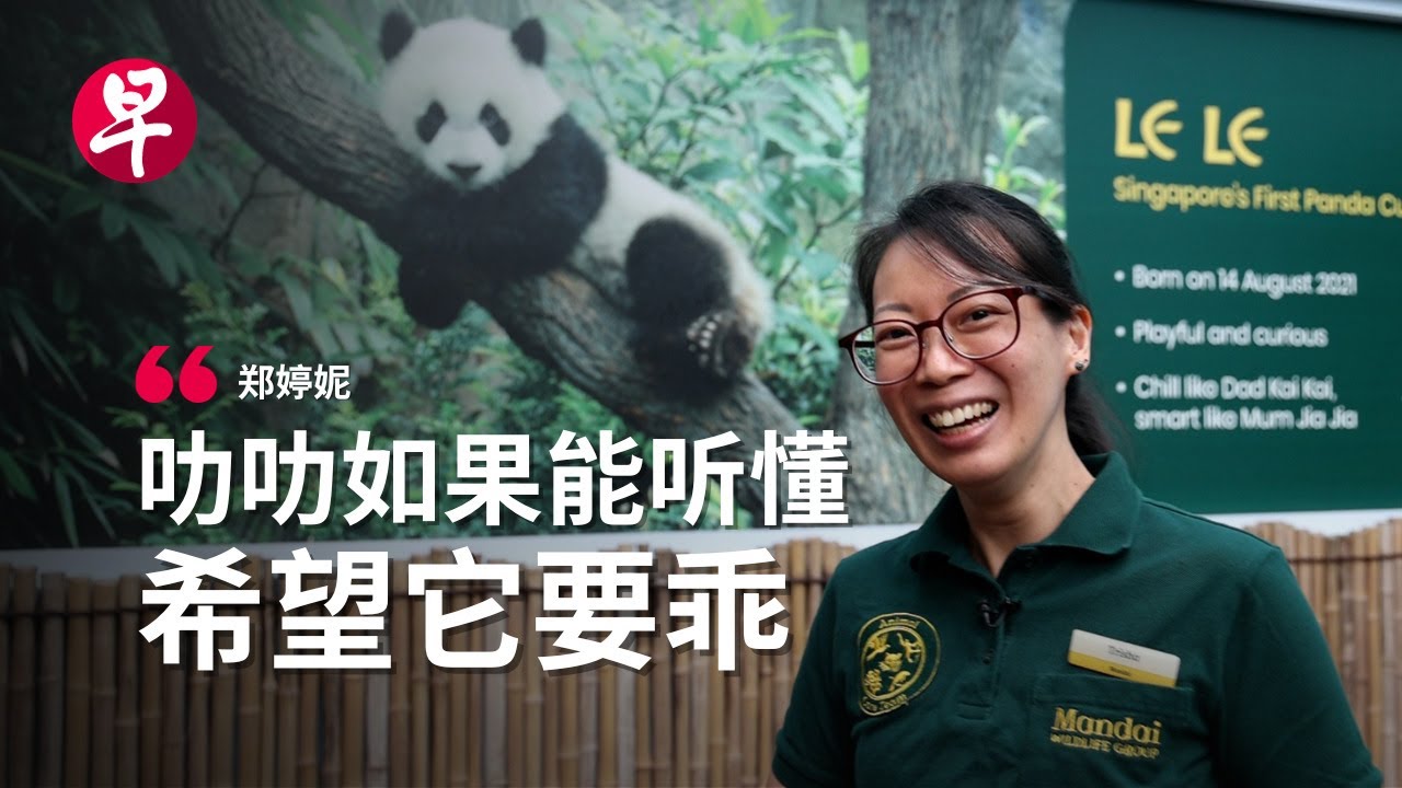 熊猫宝宝叻叻要回家了，它准备好了吗？听听饲养员的心里话