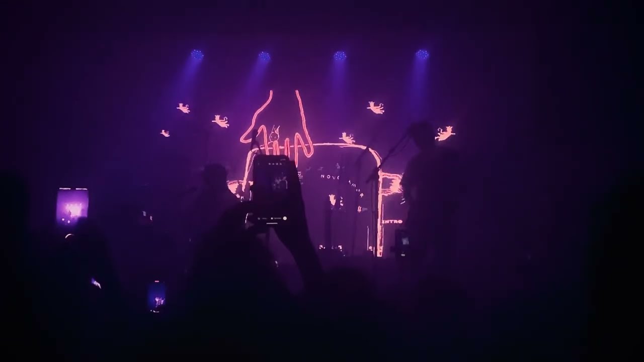 novo amor - opaline (live in são paulo)