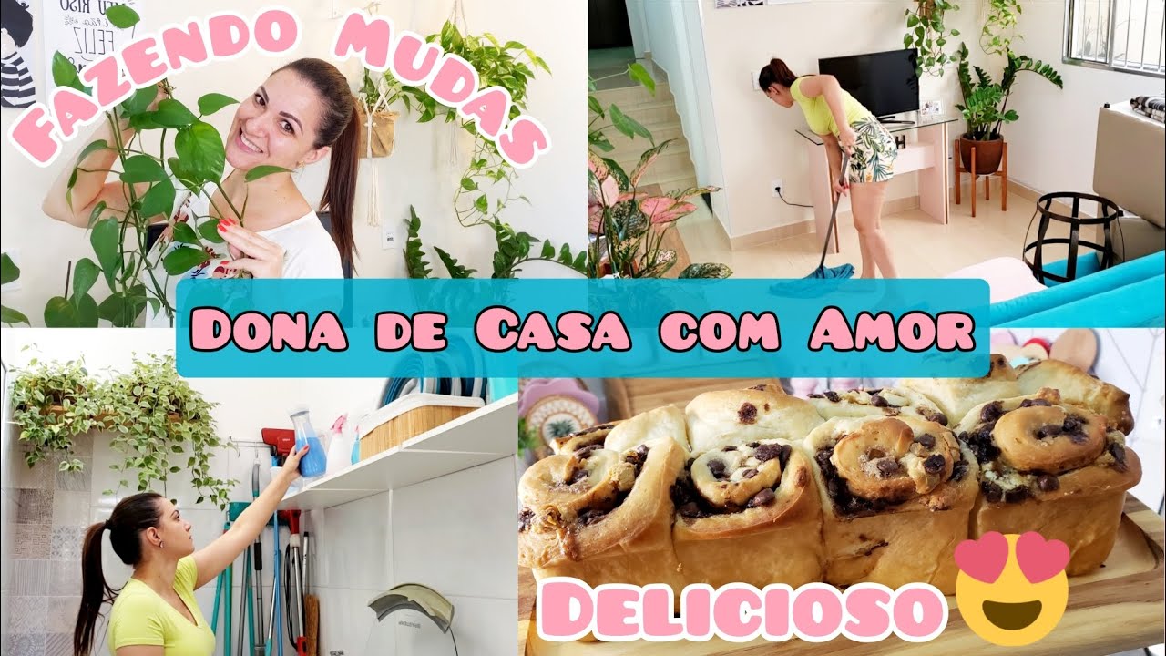 LIMPEI E ORGANIZEI A CASA | COMO FAZER MUDAS DE JIBOIA NA ÁGUA | PÃO DOCE COM CHOCOLATE | FER DINIZ
