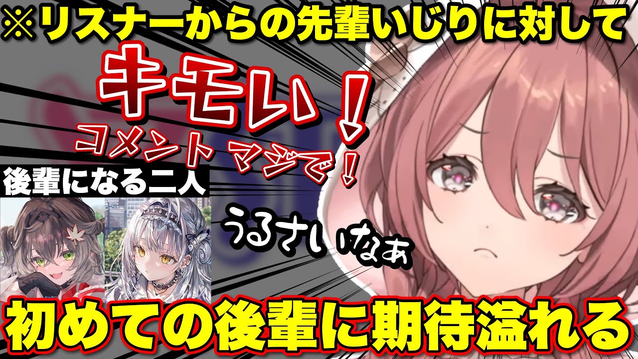 後輩ができることをいじられたり、次々と来るリスナーのボケを捌くもかさん【ぶいすぽっ！/切り抜き/甘結もか】