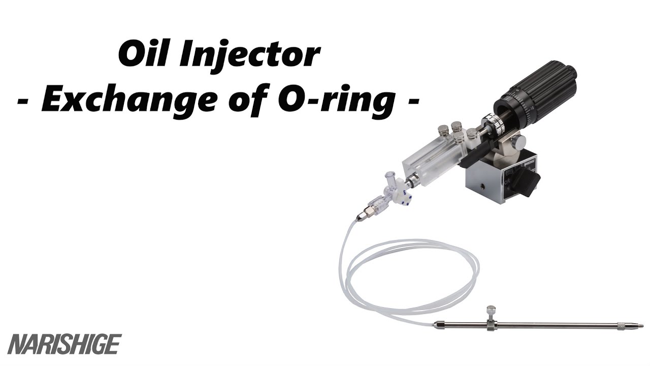Oil Injector   - Exchange of O-ring -