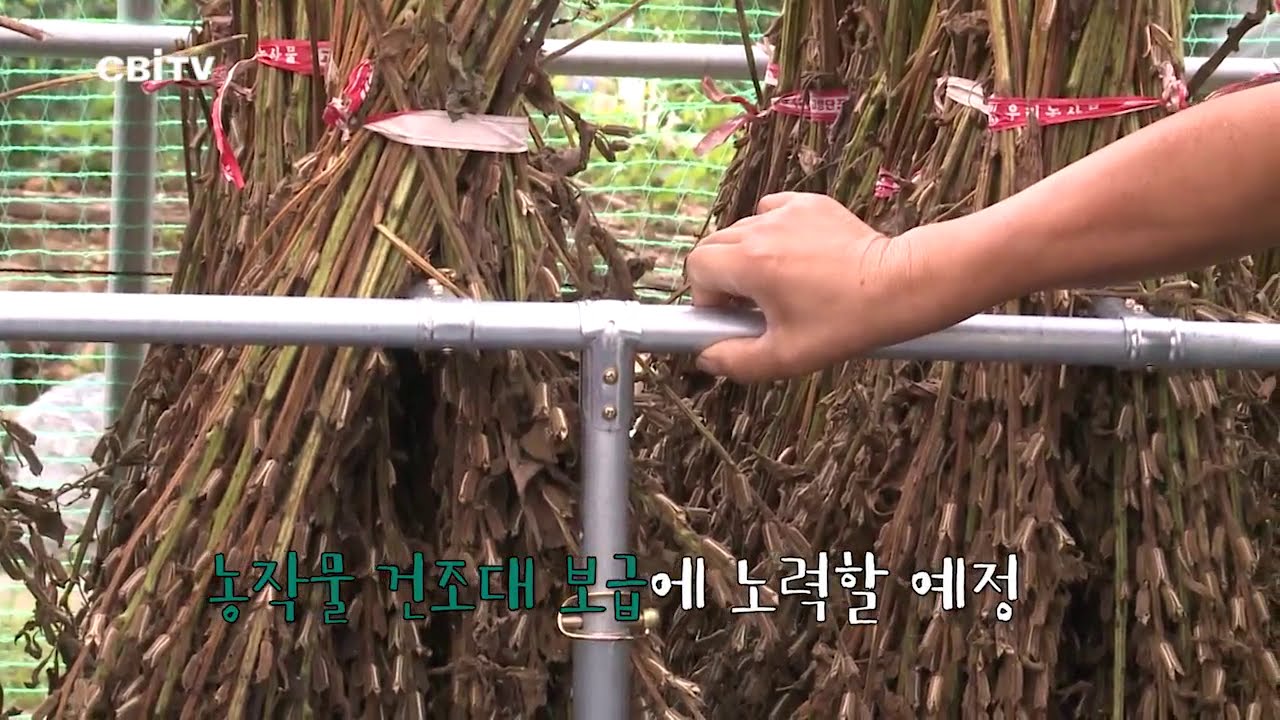 참깨 건조와 탈곡, 농작물 건조대로 해결